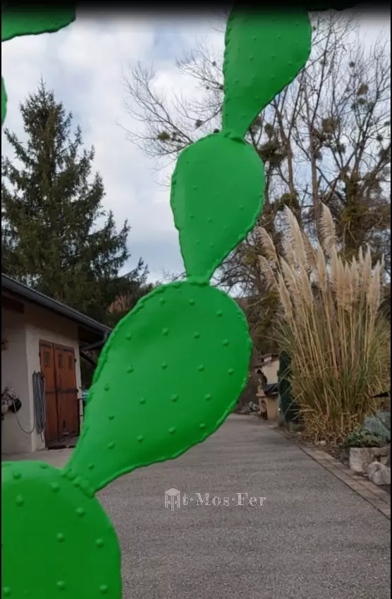 figuier-de-barbarie-decoratif