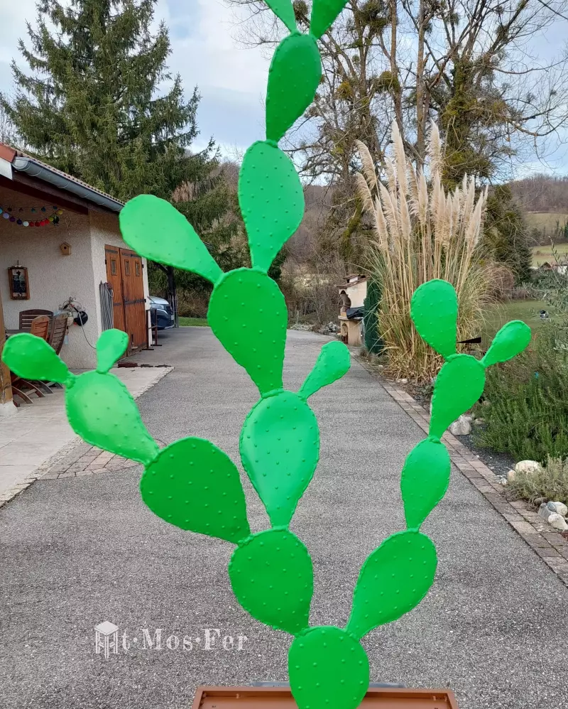 figuier-de-barbarie-en-fer